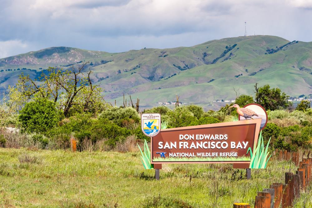 Don Edwards San Francisco Bay National Wildlife Refuge