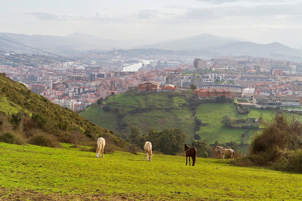 View of Santurtzi