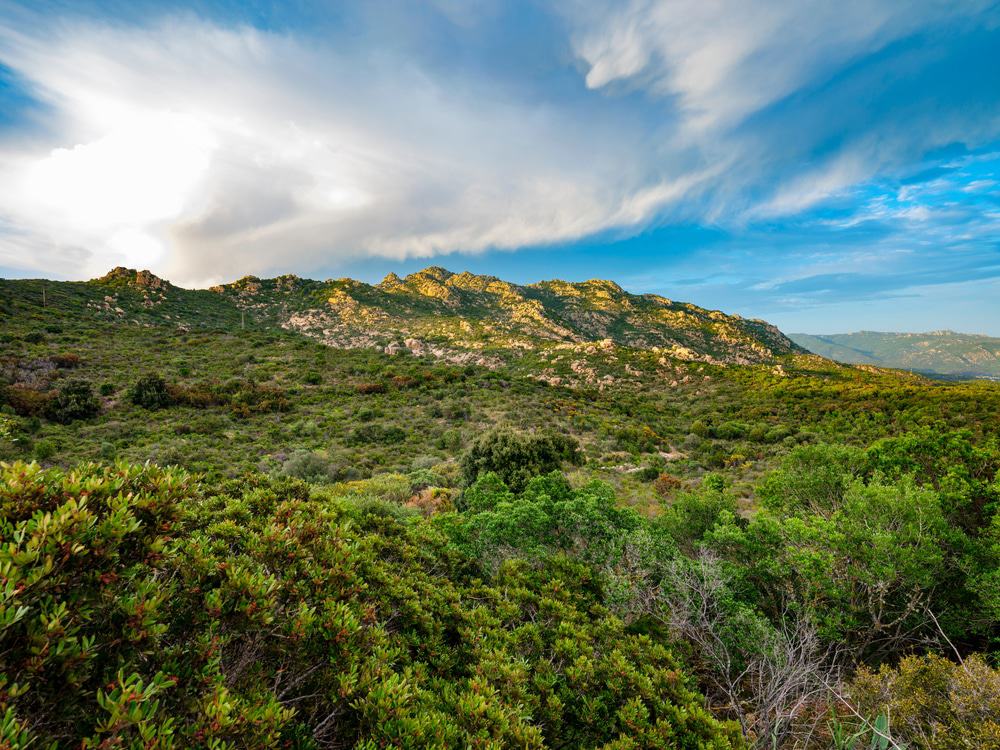 Cannoneris Natural Park