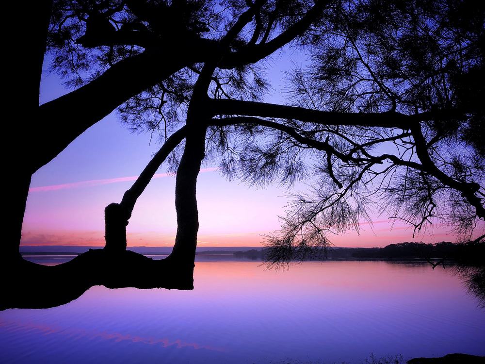 Paradise Beach Reserve