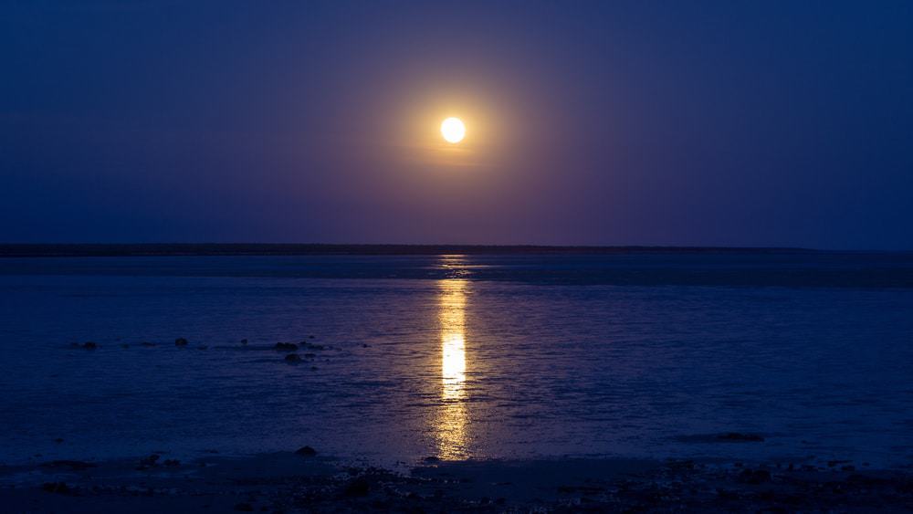 Staircase to the Moon, Broome