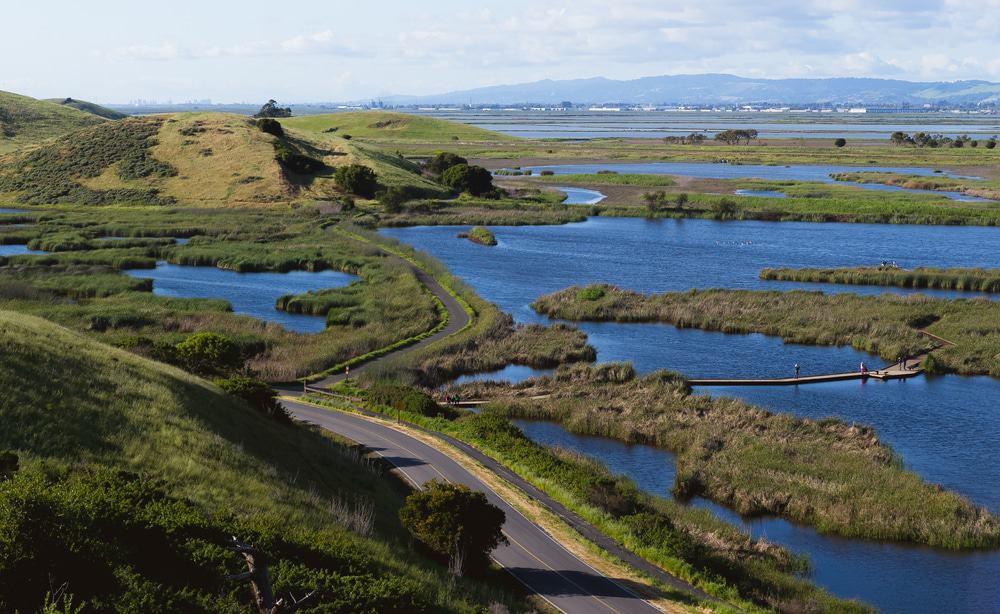 Coyote Hills Regional Park