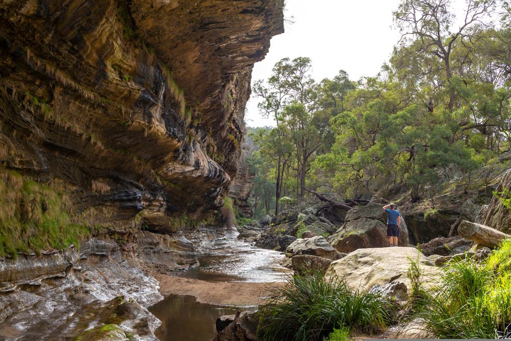 The Drip Gorge