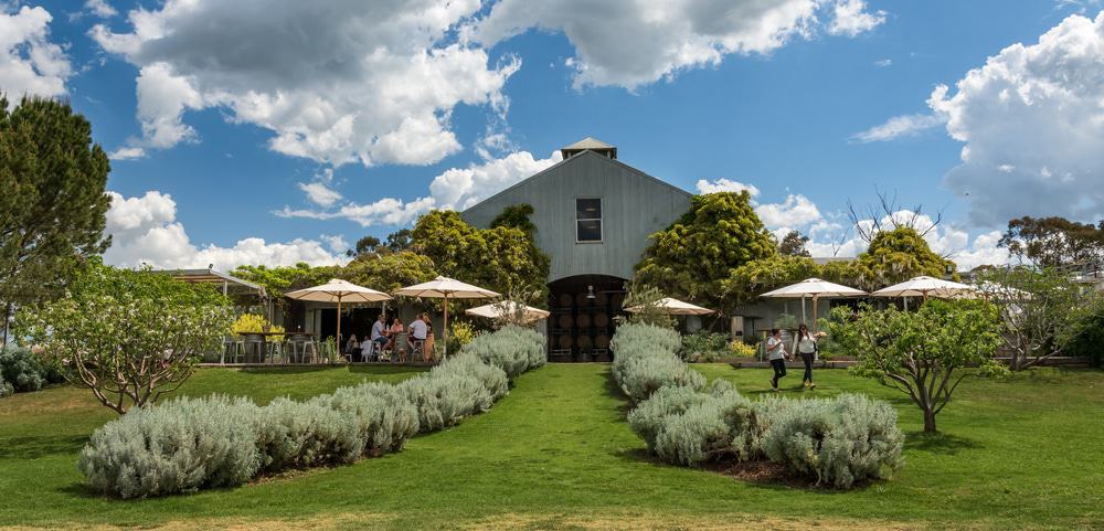 Lowe Family Wine Co.
