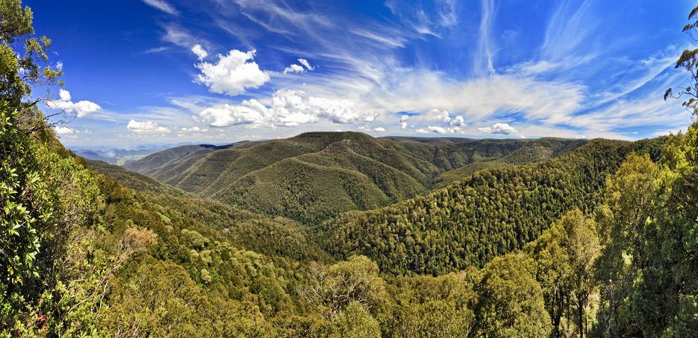 Barrington Tops National Park