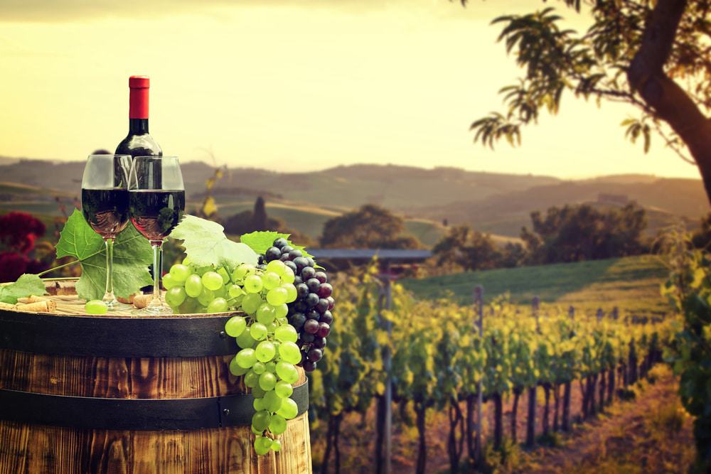 Wine of Tuscany