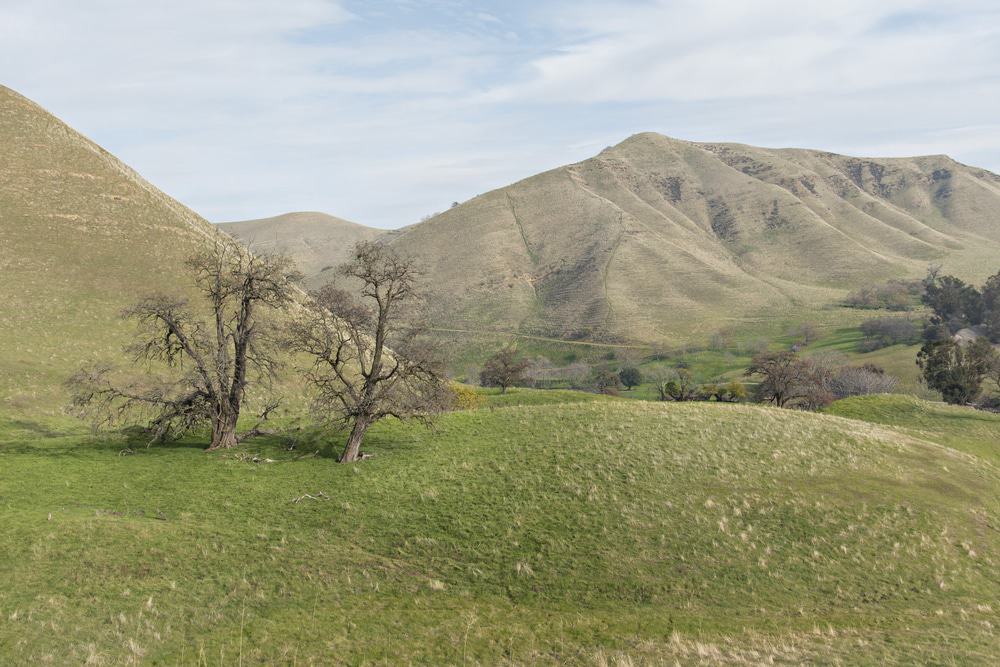 Black Diamond Mines Regional Preserve