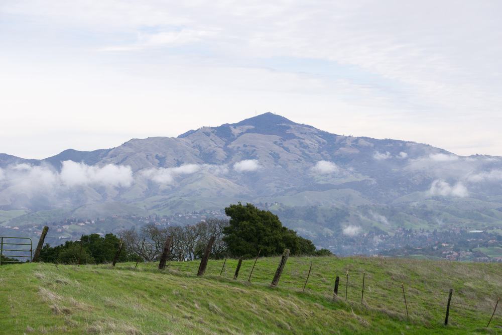 Las Trampas Regional Wilderness