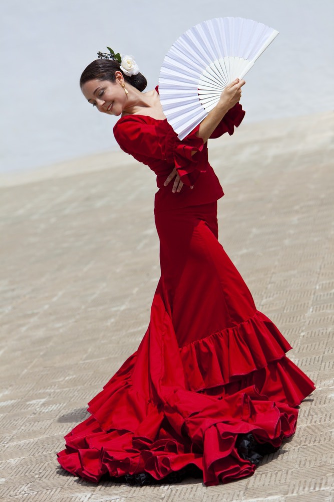 Flamenco Show