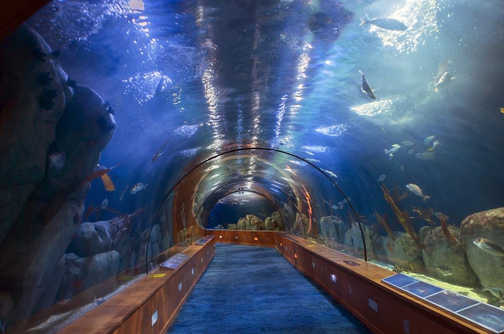 Oceanografic Center in Valencia