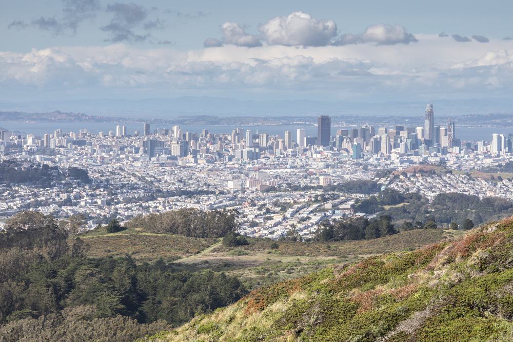 San Francisco Skyline from San Bruno Mountain State Park