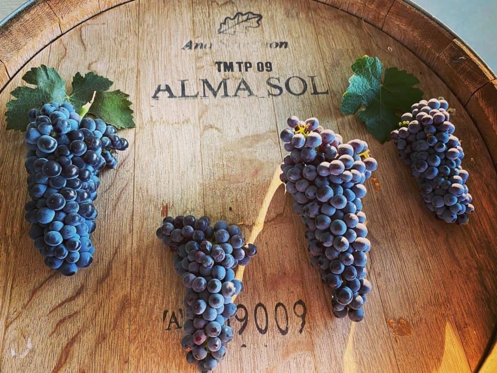 Alma Sol Winery