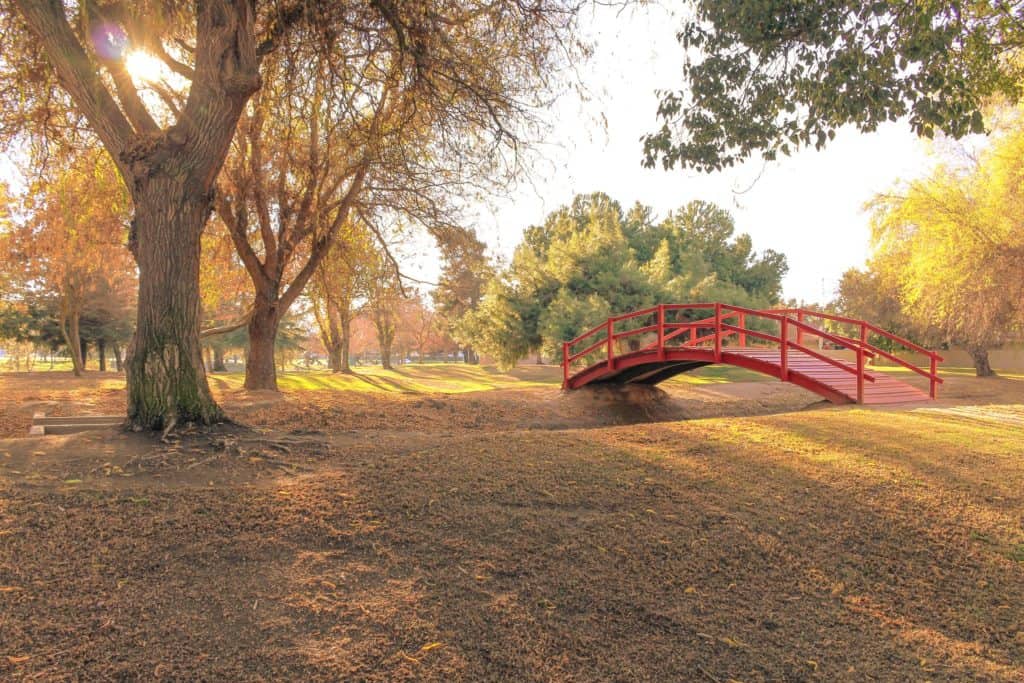 Lions Town & Country Park