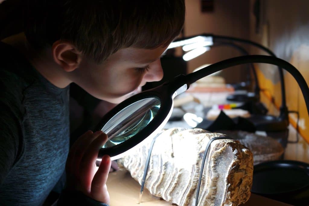 SMUD Museum of Science and Curiosity