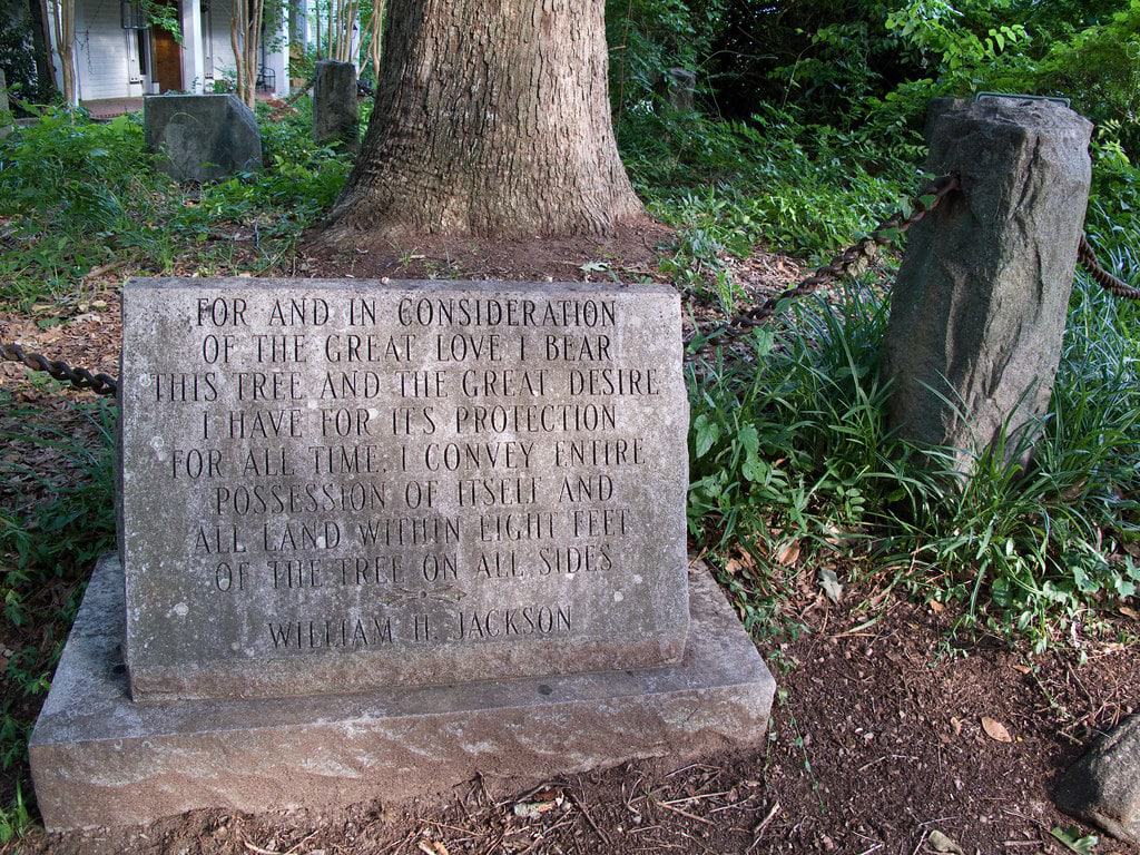 The Tree That Owns Itself