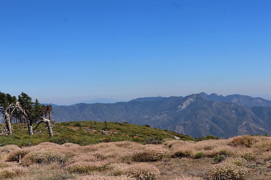View from Mount Gleason