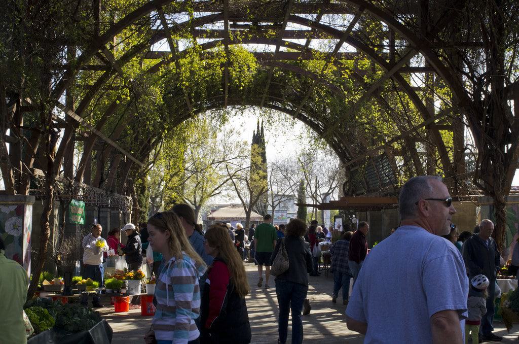 Vineyard Farmers' Market
