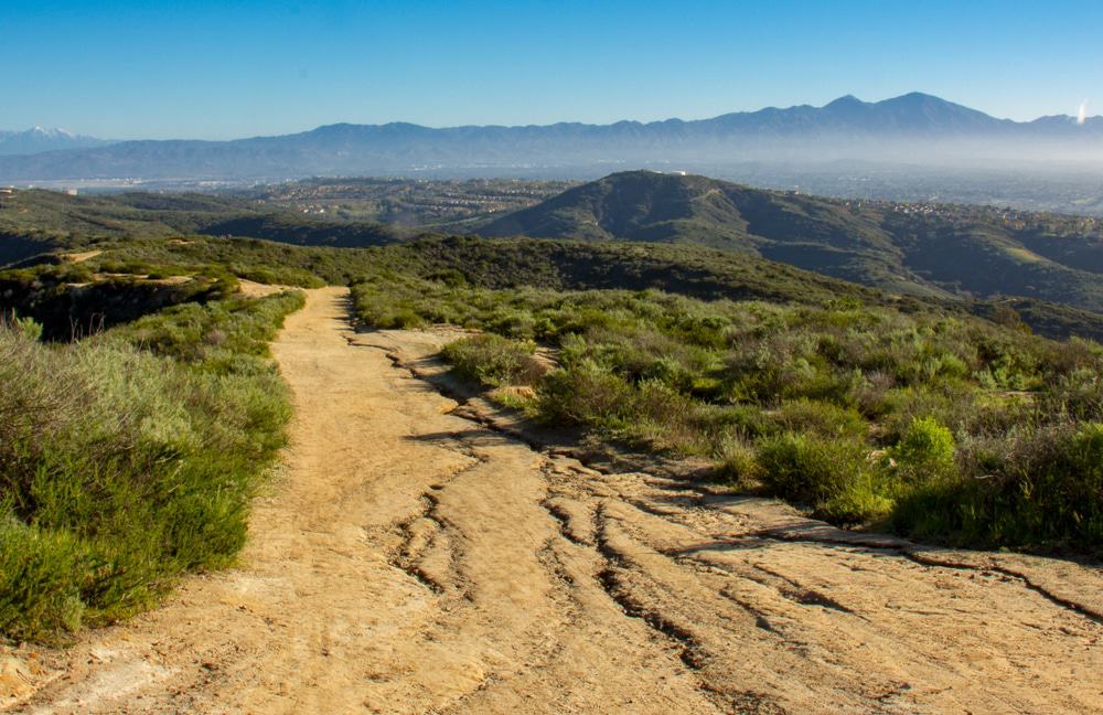 Aliso and Wood Canyons Wilderness Park