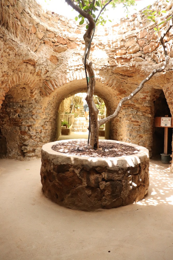 Forestiere Underground Gardens