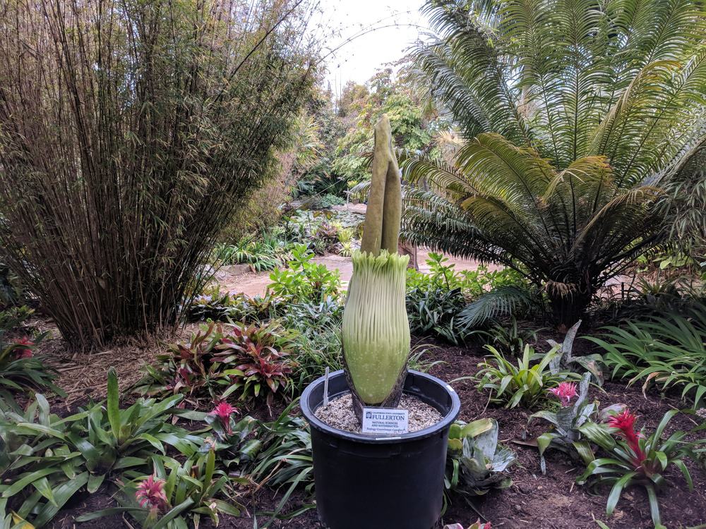 San Diego Botanic Garden