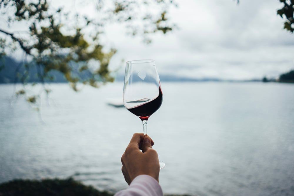 Wine Tasting at Lake Lucerne
