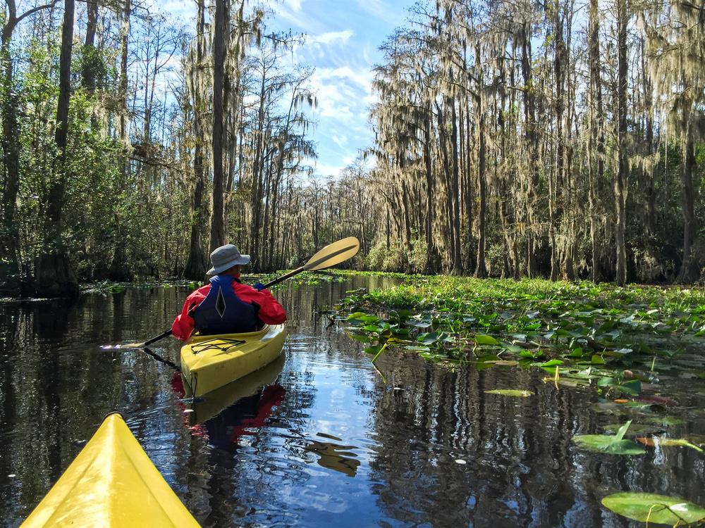 Okefenokee National Wildlife Refuge
