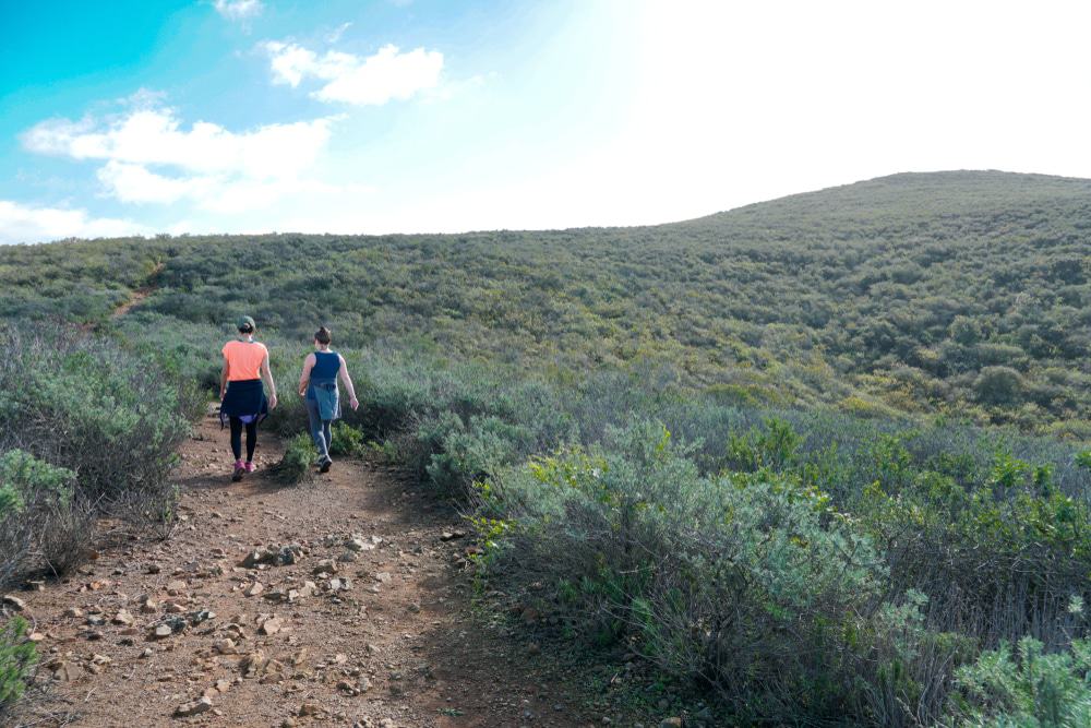 Black Mountain Open Space Park