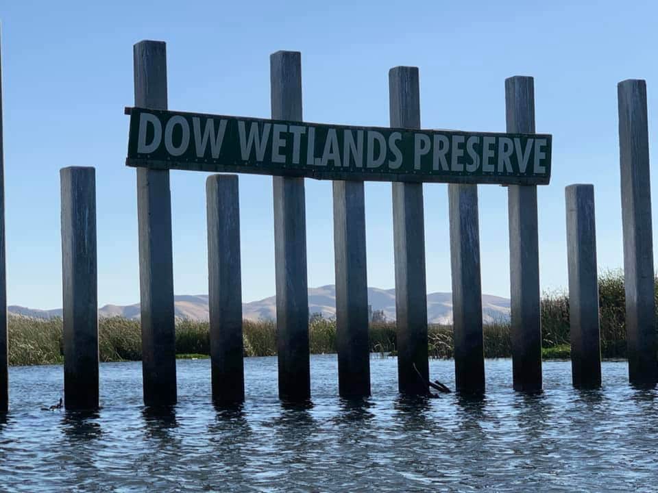Dow Wetlands Wildlife Habitat Preserve