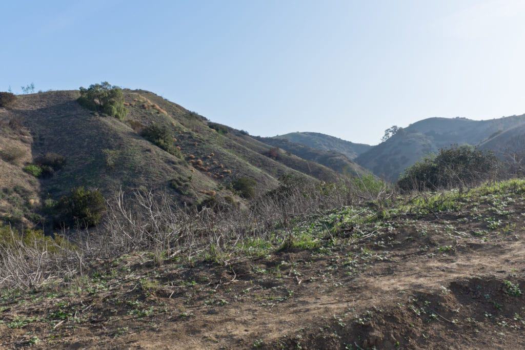 Puente Hills Preserve