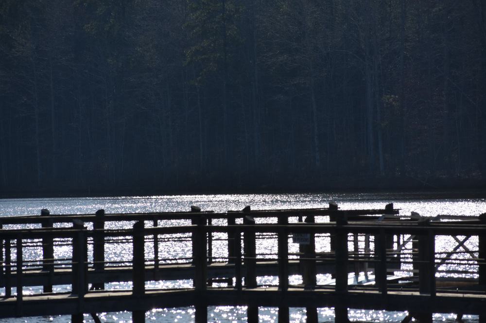 Lake McIntosh