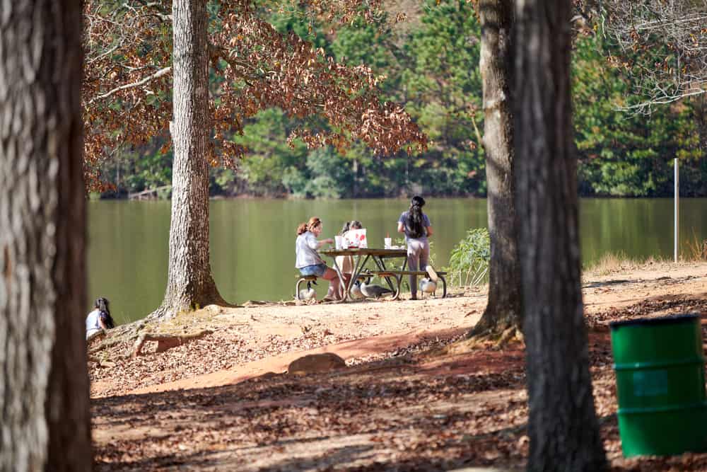 Clayton County International Park