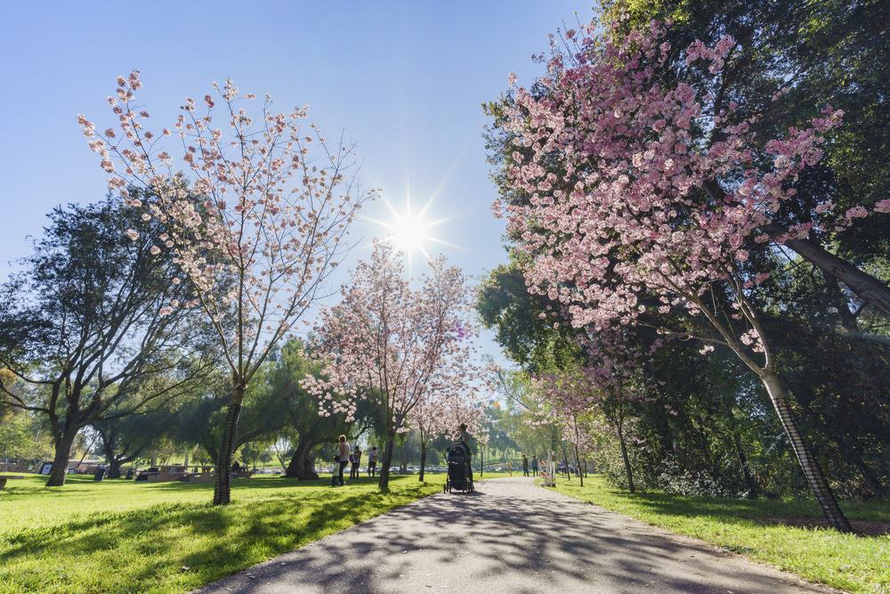 Peter F Schabarum Regional Park