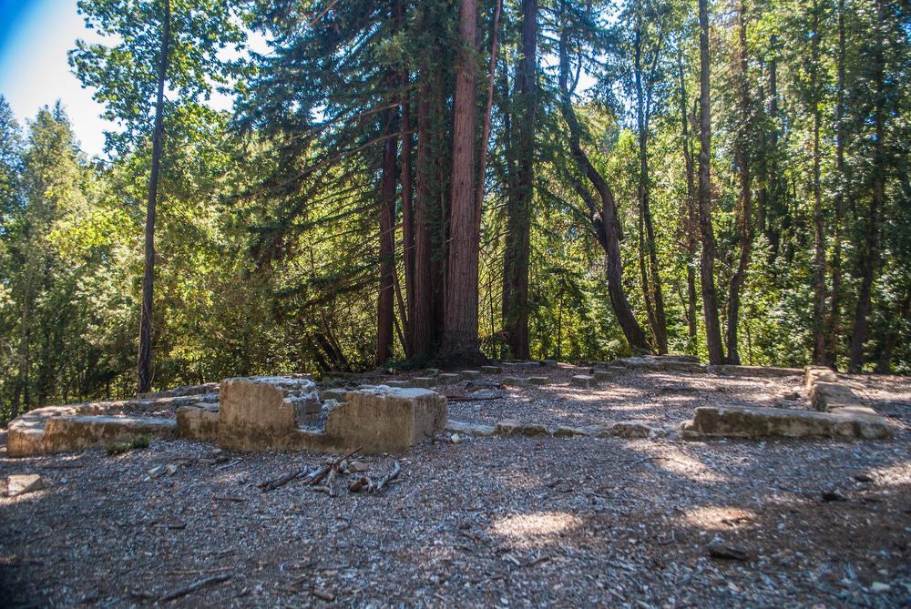 Mount Madonna County Park