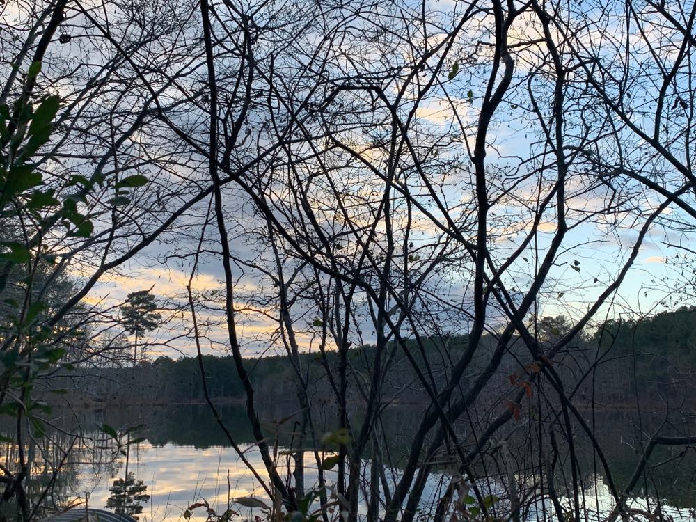 Tribble Mill Park