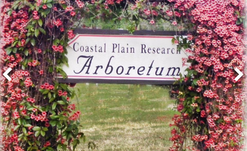 Coastal Plain Research Arboretum