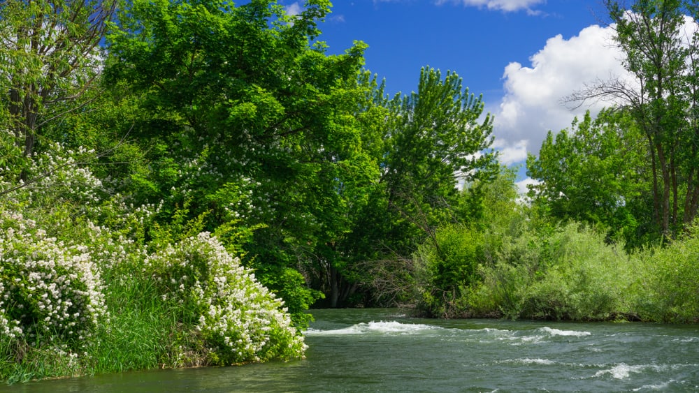 Indian Creek Greenbelt