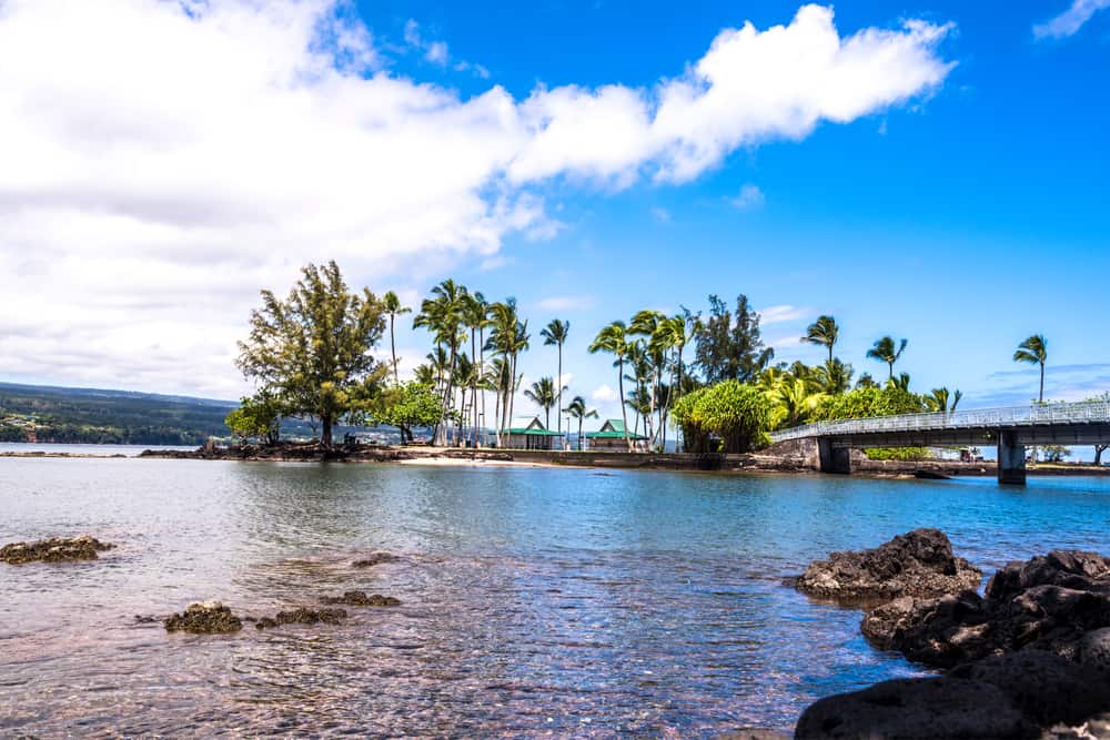 Coconut Island