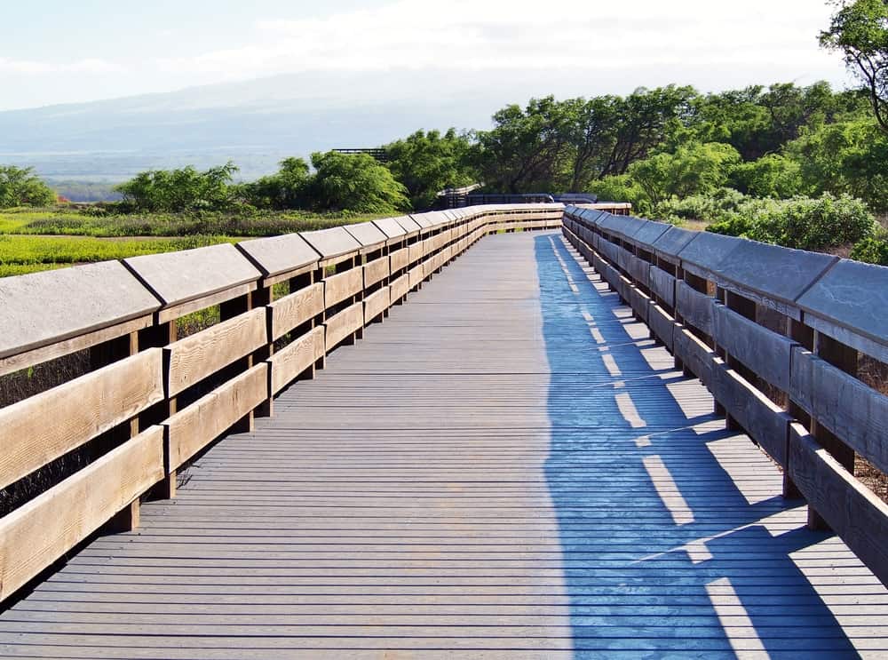 Kealia Pond National Wildlife Refuge