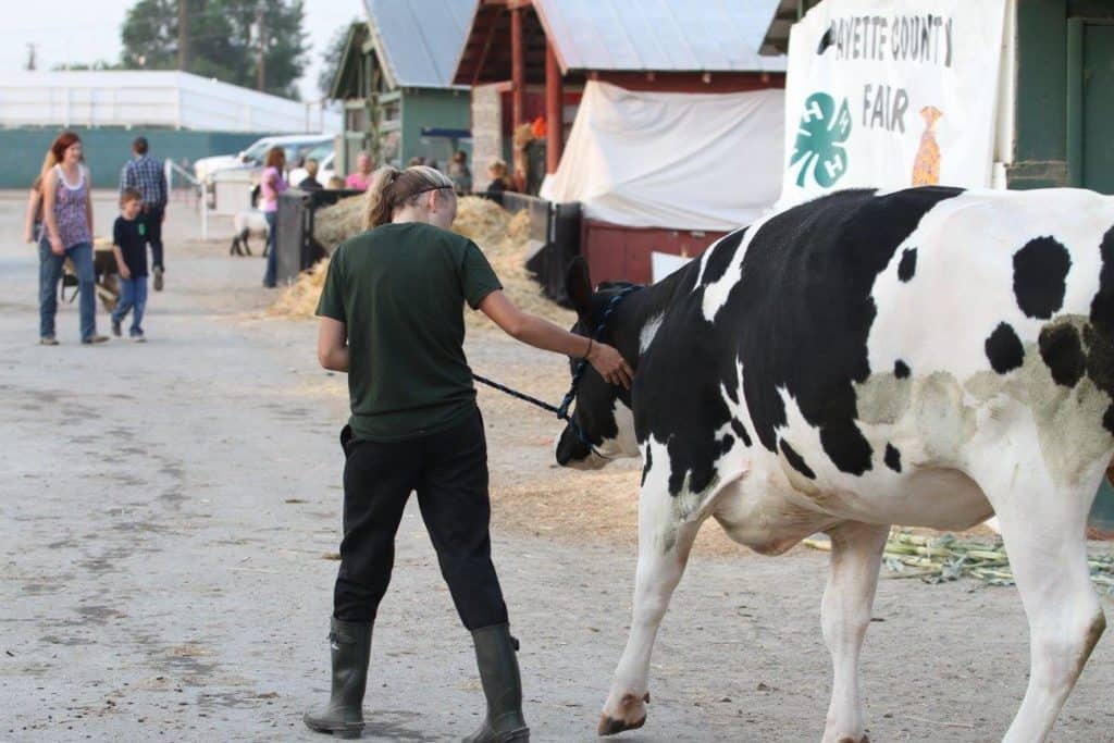 Payette County Fair
