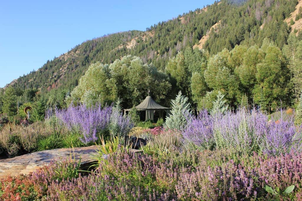 Sawtooth Botanical Garden