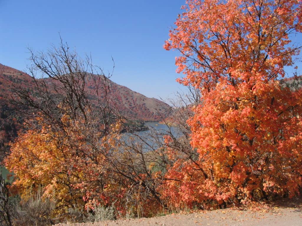 Oneida Narrows Reservoir