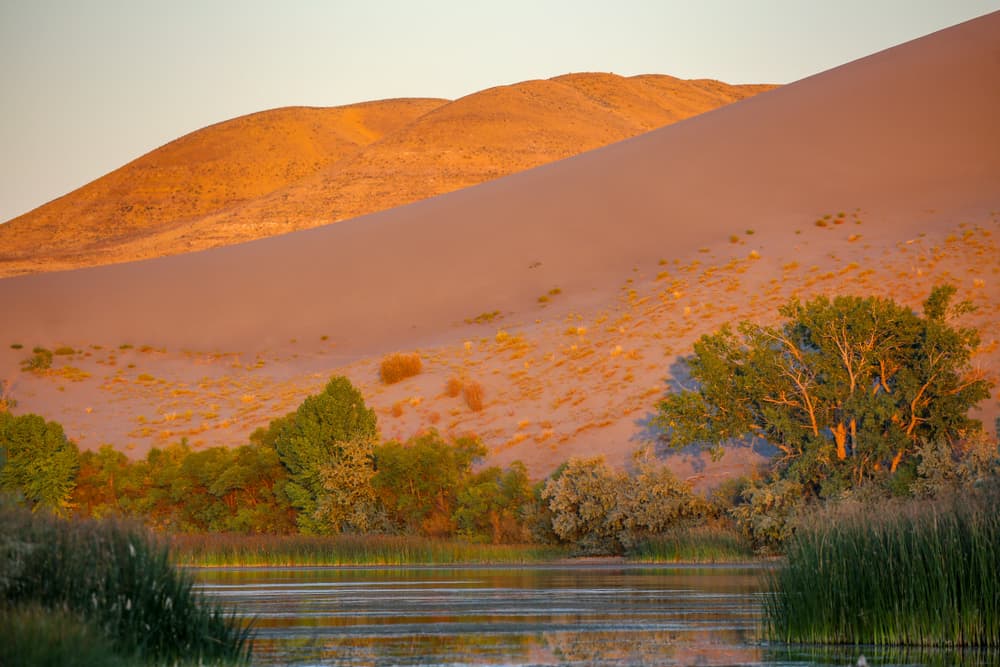 Bruneau Dunes State Park