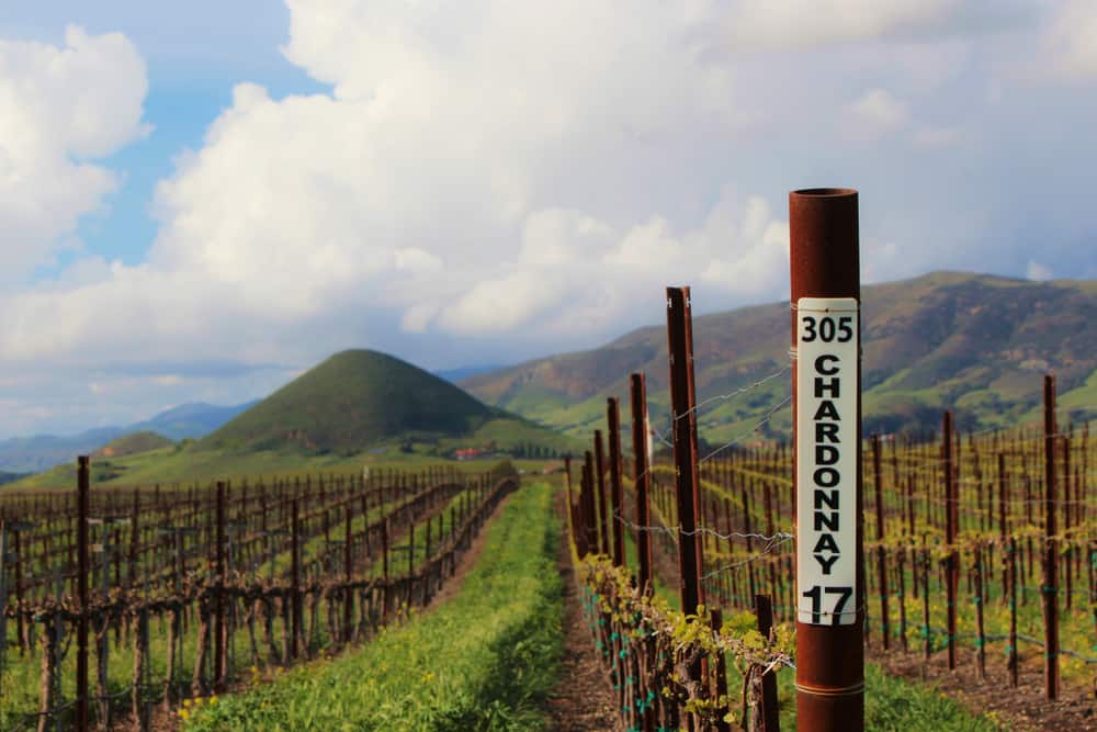 San Luis Obispo Wine Region