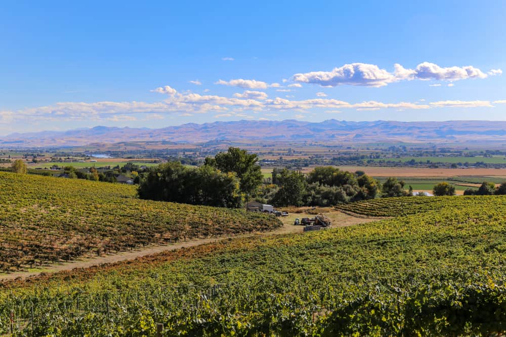 Sunnyslope Wine Trail