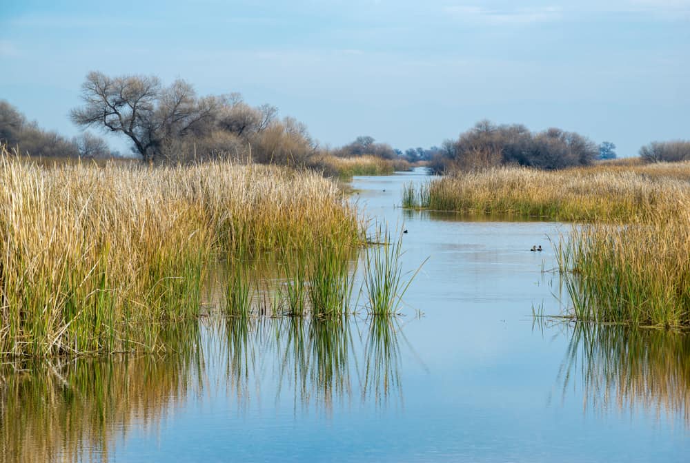 Kern National Wildlife Refuge