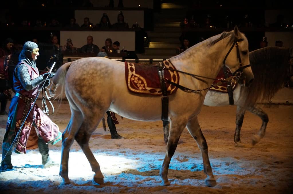 Medieval Times Schaumburg