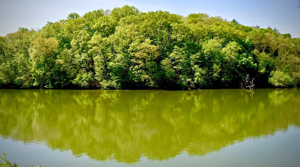 Argyle Lake
