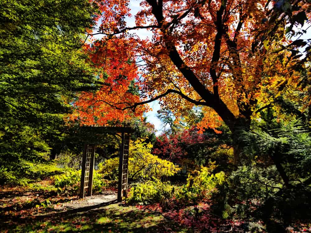 George L. Luthy Memorial Botanical Garden