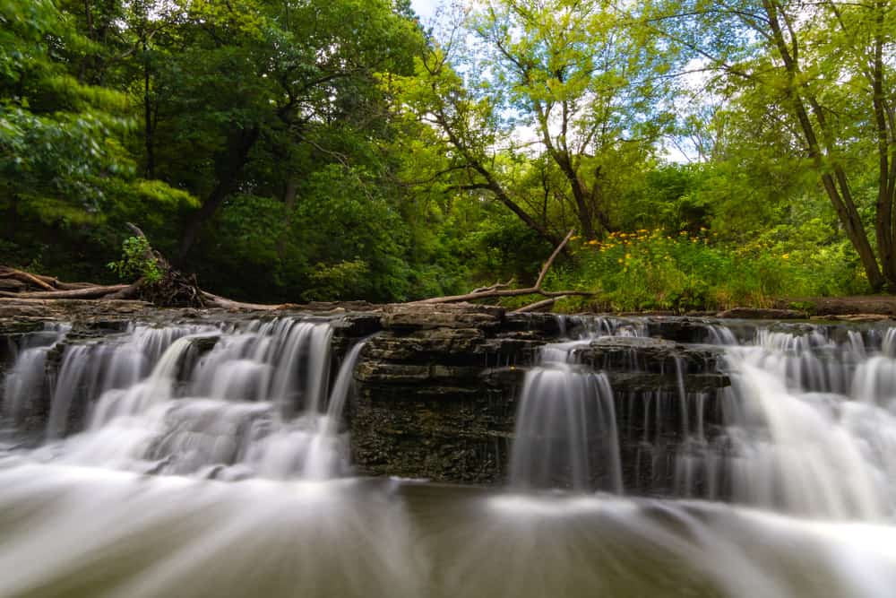 Waterfall Glen Forest Preserve
