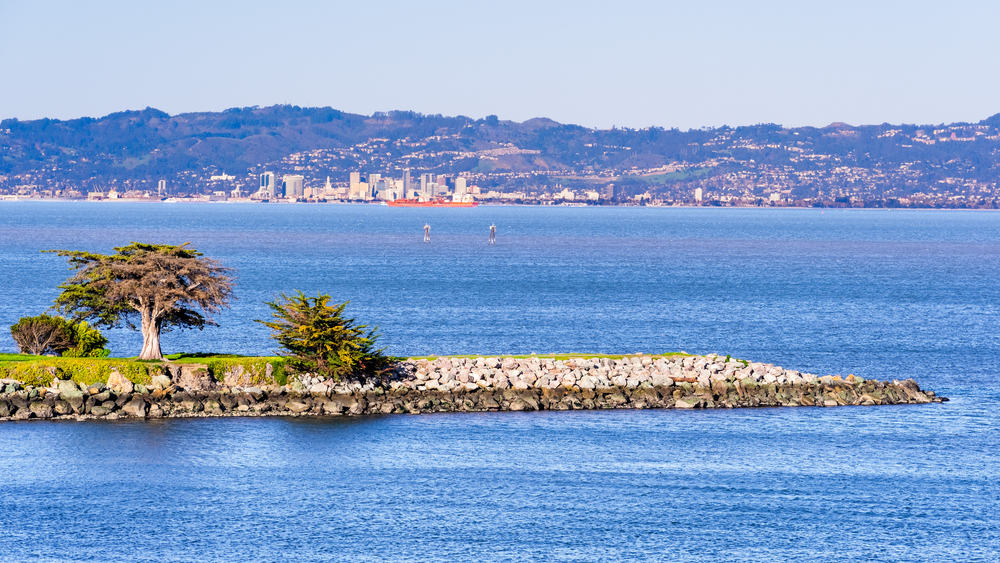 San Bruno Point Park